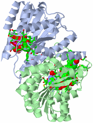 Image Asym. Unit - sites