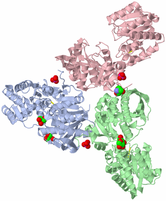 Image Asym./Biol. Unit