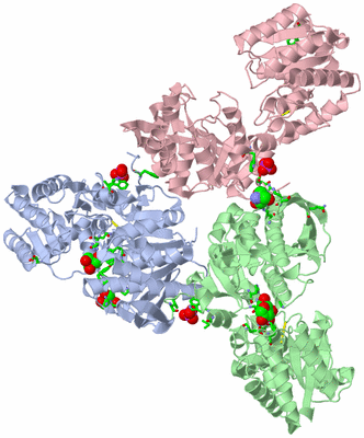 Image Asym./Biol. Unit - sites