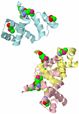 Image Biological Unit 2