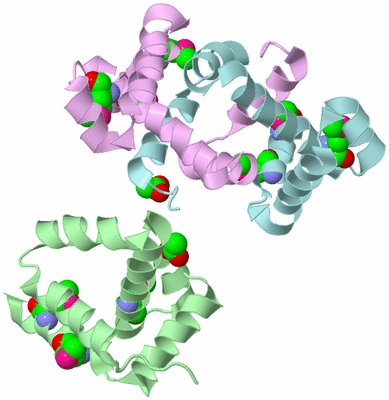 Image Biological Unit 3