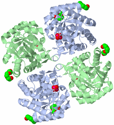 Image Biological Unit 1