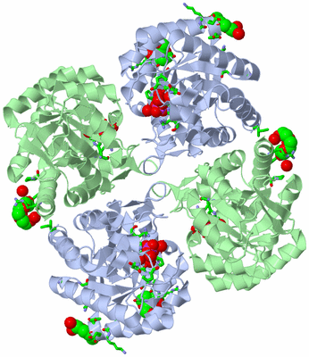 Image Biol. Unit 1 - sites