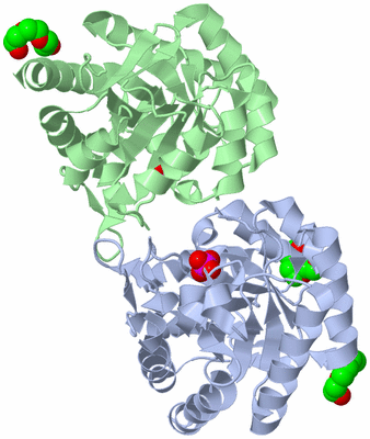 Image Biological Unit 2