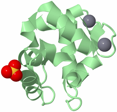 Image Biological Unit 2