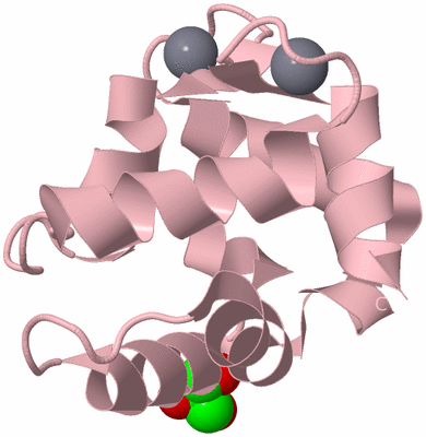 Image Biological Unit 3