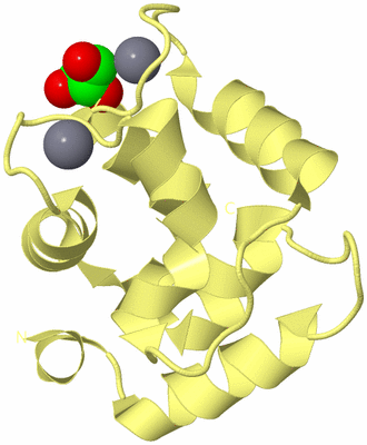 Image Biological Unit 4