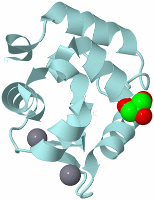 Image Biological Unit 6