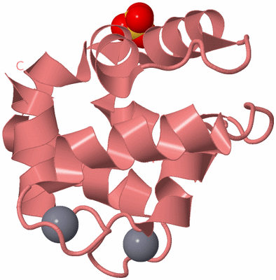 Image Biological Unit 8