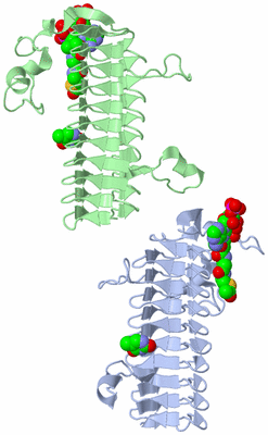 Image Asymmetric Unit