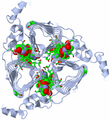 Image Biol. Unit 1 - sites