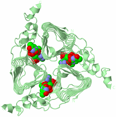 Image Biological Unit 2