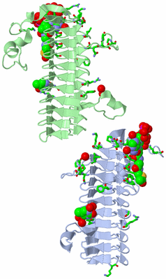 Image Asym. Unit - sites