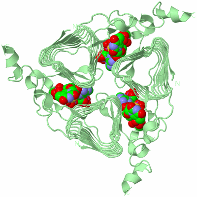 Image Biological Unit 2