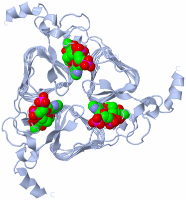 Image Biological Unit 1