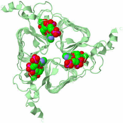 Image Biological Unit 2