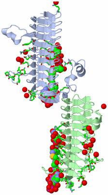 Image Asym. Unit - sites