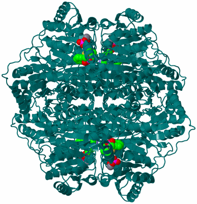 Image Biological Unit 1