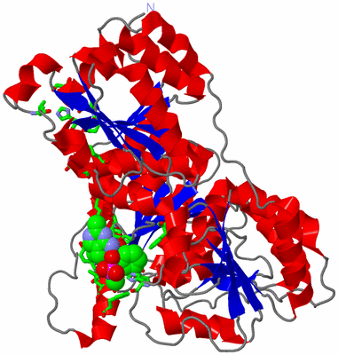 Image Asym. Unit - sites