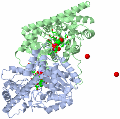 Image Biol. Unit 1 - sites