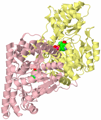 Image Biological Unit 2