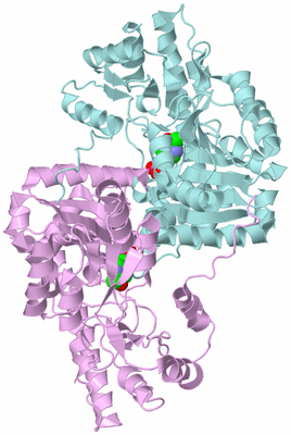 Image Biological Unit 3