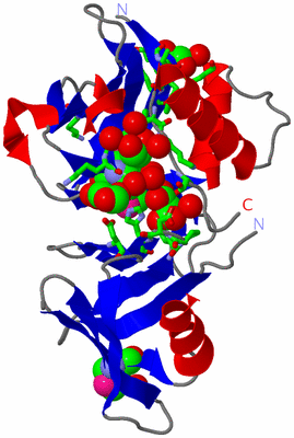 Image Asym./Biol. Unit - sites