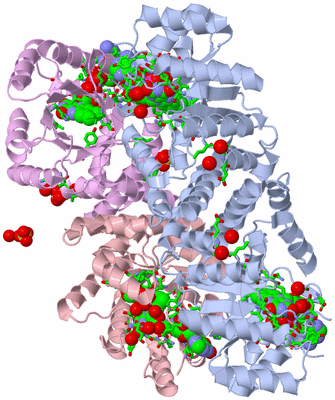 Image Biol. Unit 1 - sites