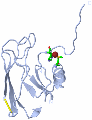 Image Biol. Unit 1 - sites