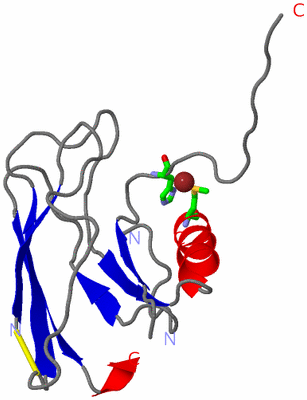 Image Asym. Unit - sites