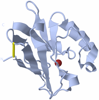 Image Biological Unit 1