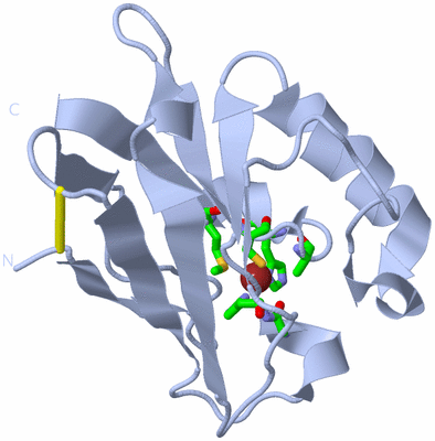 Image Biol. Unit 1 - sites