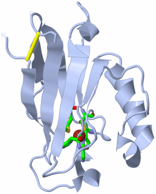 Image Biol. Unit 1 - sites