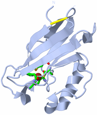 Image Biol. Unit 1 - sites