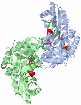 Image Biol. Unit 1 - sites