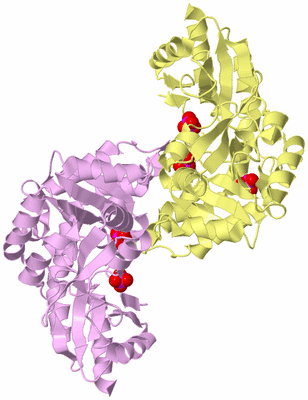 Image Biological Unit 2