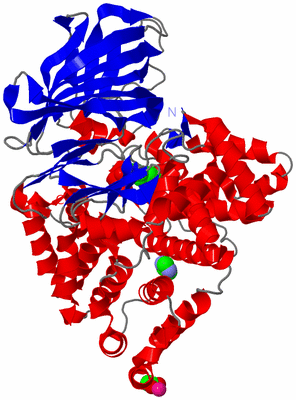 Image Asym./Biol. Unit