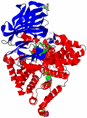 Image Asym./Biol. Unit - sites