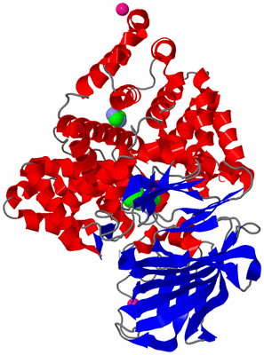 Image Asym./Biol. Unit