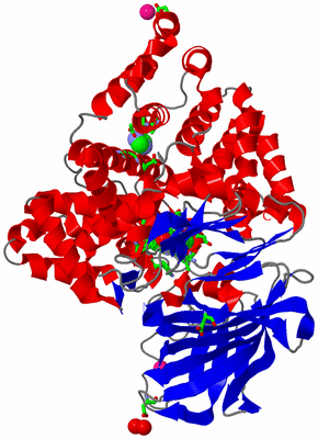 Image Asym./Biol. Unit - sites