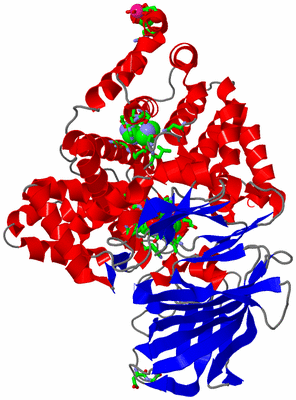 Image Asym./Biol. Unit - sites