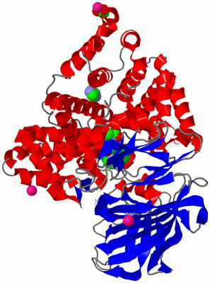 Image Asym./Biol. Unit