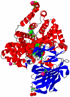 Image Asym./Biol. Unit - sites