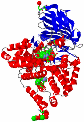 Image Asym./Biol. Unit - sites