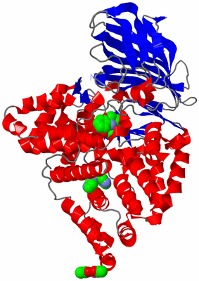 Image Asym./Biol. Unit