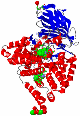 Image Asym./Biol. Unit - sites