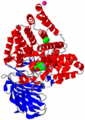 Image Asym./Biol. Unit