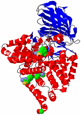 Image Asym./Biol. Unit