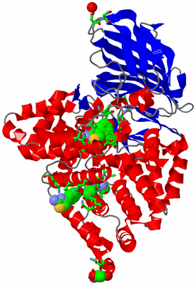 Image Asym./Biol. Unit - sites