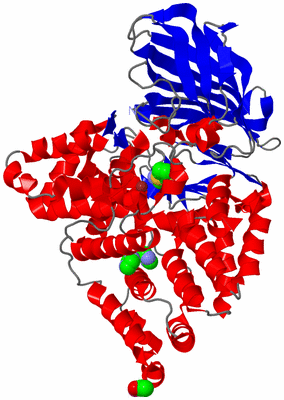 Image Asym./Biol. Unit